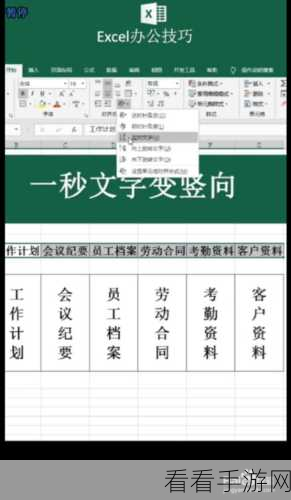 轻松搞定！WPS Word 表格文字竖排显示秘籍