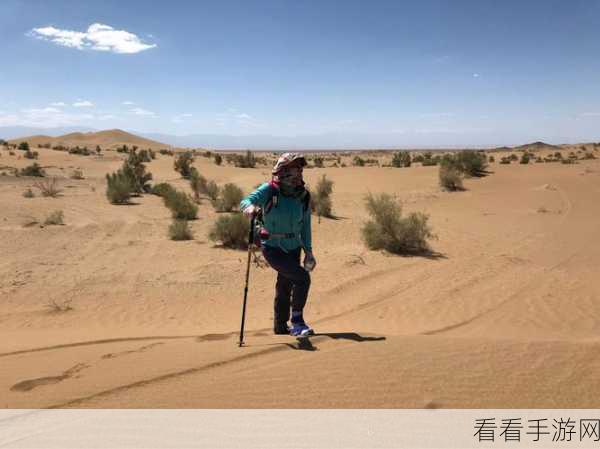 海之霸冒险探索，凌晨6点的挑战之旅，解锁未知世界的乐趣