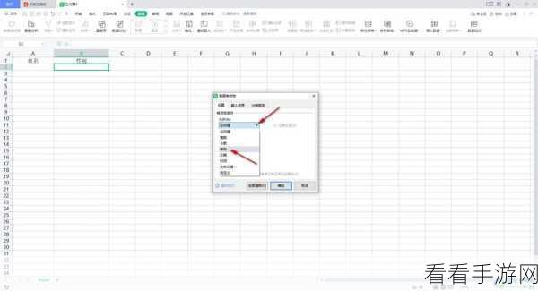 轻松搞定 WPS Excel 双 Y 轴设置秘籍