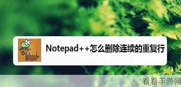 Notepad 高效删除连续重复行的秘籍