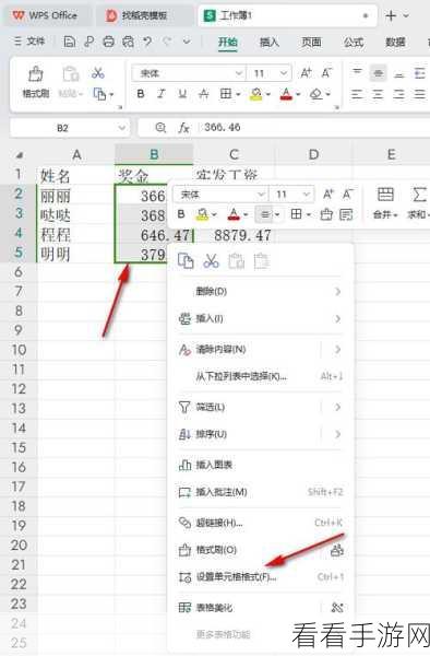 掌握 WPS 表格单选按钮设置秘籍，轻松提升工作效率