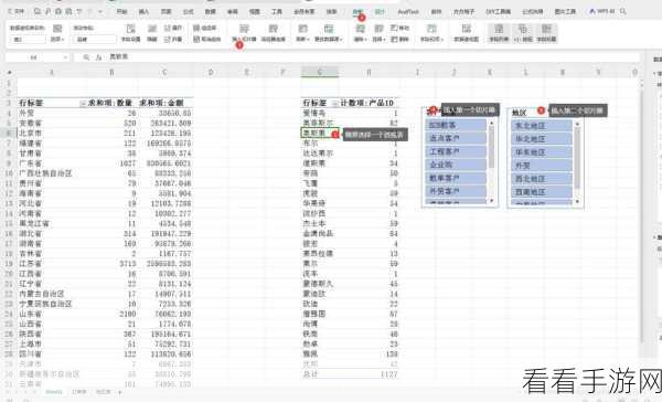 轻松掌握！WPS Excel 数据透视表隐藏字段秘籍