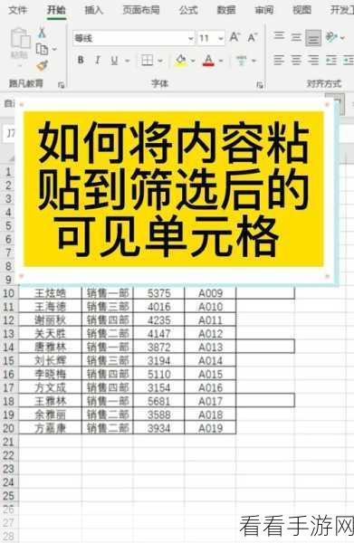 轻松掌握！Excel 表格单元格颜色筛选秘籍