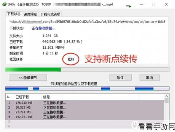 轻松掌控 IDM 下载器速度，秘籍在此！