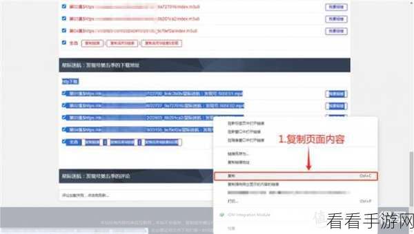 轻松掌控 IDM 下载器速度，秘籍在此！