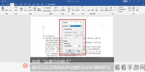 轻松搞定 WPS Word 页码设置,第几页共几页秘籍