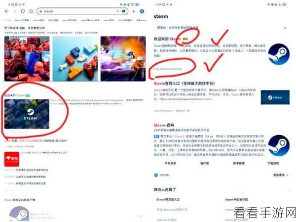 Steam 密码轻松改，详细步骤指南