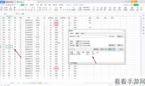 WPS Excel 表格筛选秘籍，轻松找出含特定词的内容