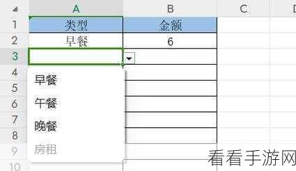 轻松搞定!WPS Excel 单元格三角下拉选项设置秘籍