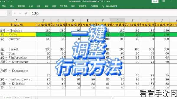 轻松搞定 Excel 行高自动调整秘籍