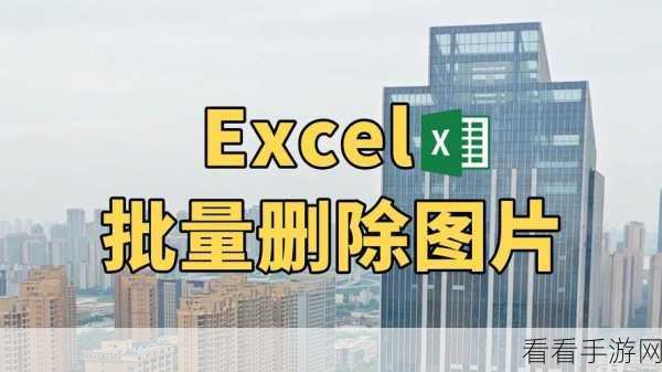 Excel 表格图片一键清空秘籍