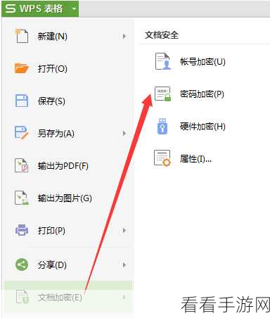 轻松搞定 WPS 文档密码保护秘籍