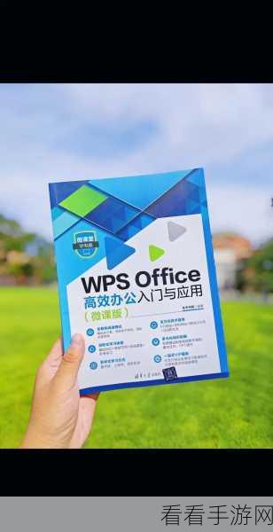 轻松掌握，WPS 文档字数查看秘籍