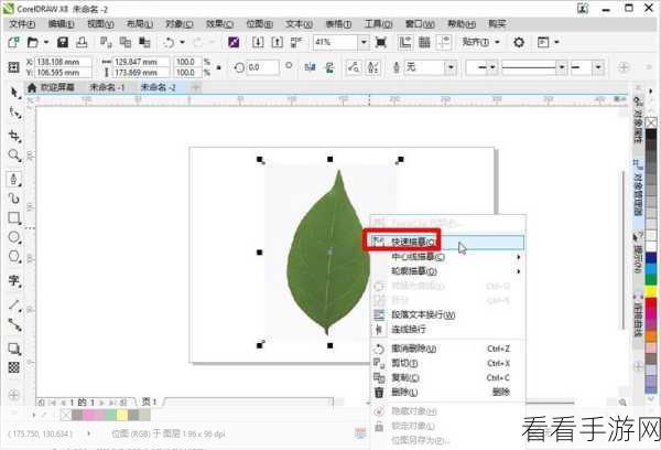 轻松掌握！CorelDRAW 导入图片秘籍大公开