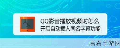 轻松掌握！电脑版 QQ 影音循环播放秘籍