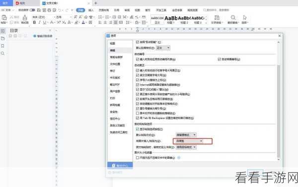 轻松搞定 WPS Word 文字文本轮廓添加秘籍