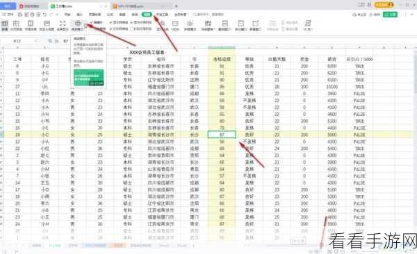 轻松搞定！WPS Excel 单元格文字全显示秘籍