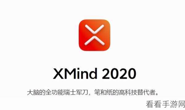 轻松掌握！XMind 为主题添加下划线的秘诀