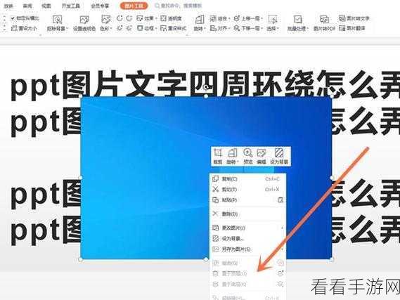 WPS PPT 图片逐个呈现秘籍，轻松设置的绝佳方法