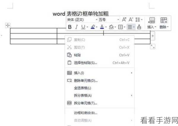 WPS PPT 表格边框线粗细设置秘籍