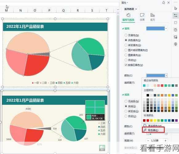 轻松搞定 WPS Word 复合饼图制作秘籍