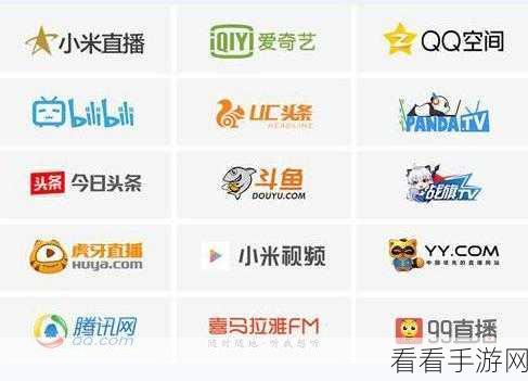 YY 直播电脑版超详细使用秘籍，开启全新直播之旅