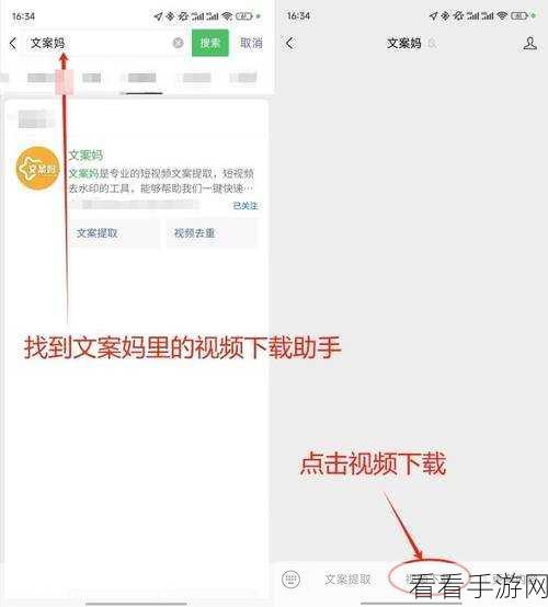 轻松掌握微信视频号下载器的使用秘籍