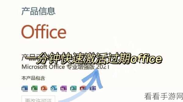 WPS 文本框透明化秘籍，轻松几步搞定