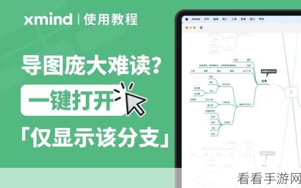 掌握 XMind 分支方向改变秘籍,轻松提升思维图效果
