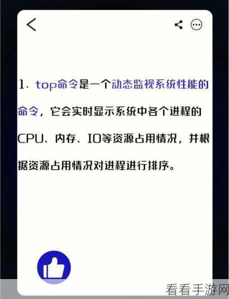 探索 Linux 系统中的神秘命令，type 究竟为何？