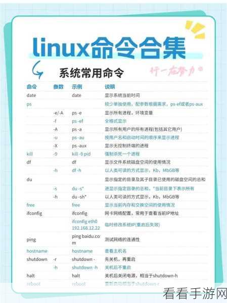 探索 Linux 中的神秘命令，type 命令实用指南