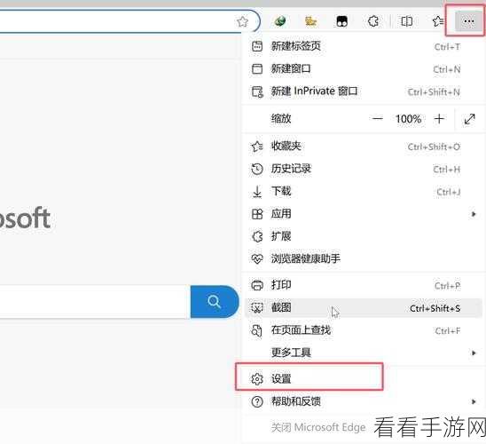 轻松搞定！Edge 浏览器字体大小设置秘籍