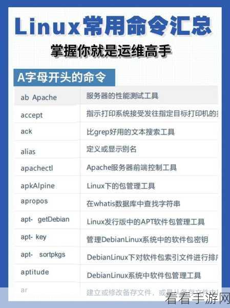 Linux 中神秘的 Type 命令，实用还是鸡肋？