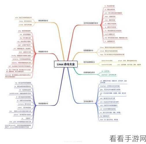 掌握 Linux 中 Type 命令的设置秘籍