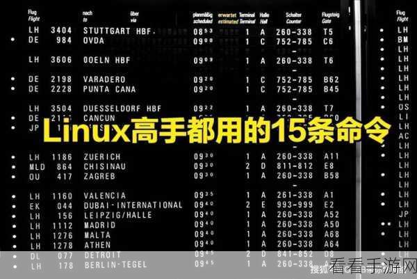 Linux 中神秘的 type 命令，功能与用途全解析