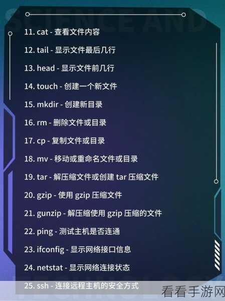 Linux 中神秘的 type 命令，功能与用途全解析