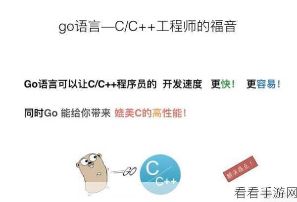 探索 Go 语言的多元应用领域