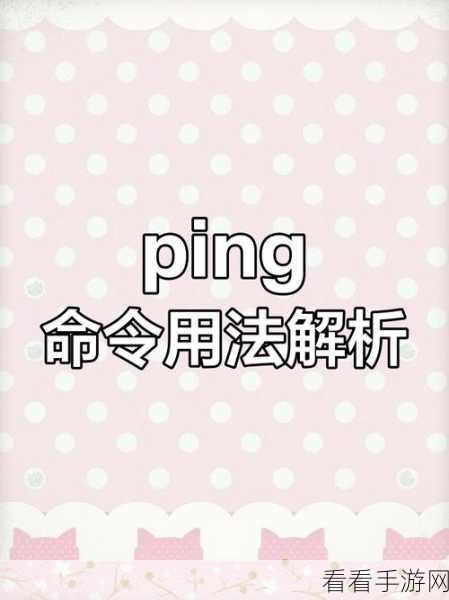 Linux 中 Type 命令的精妙用法全解析