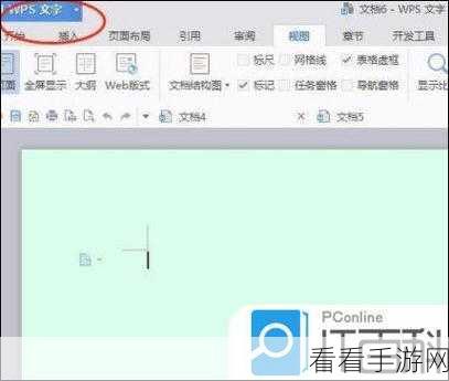 电脑版 WPS 轻松实现双窗口分开显示秘籍
