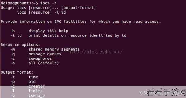 Linux 系统中，ipcs 命令的最佳搭档大揭秘！