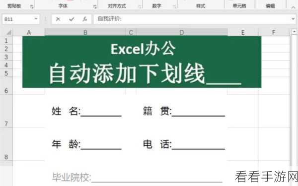Excel 单元格下划线添加秘籍大公开