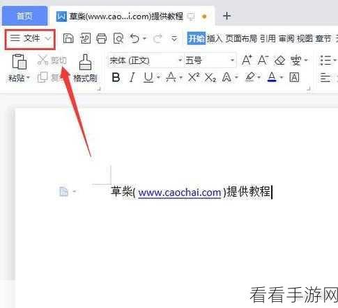 WPS 文档字号调整与上方空白去除秘籍