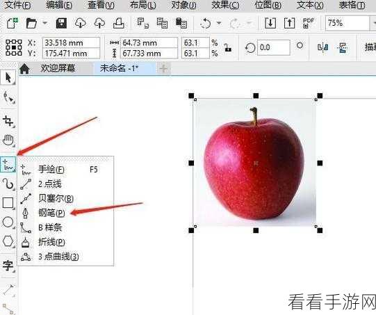 CDR 图片翻转秘籍，CorelDRAW 中的神奇操作指南