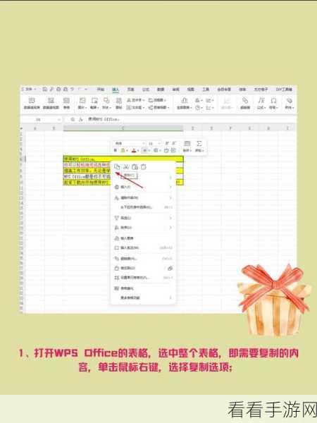 WPS 表格复制粘贴秘籍,原格式完美保留之道