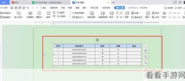 WPS 表格复制粘贴秘籍,原格式完美保留之道