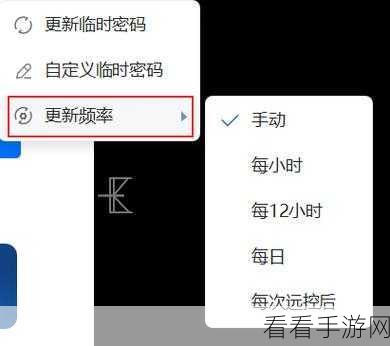 ToDesk 临时密码更新时间修改秘籍,12 小时频率轻松设定