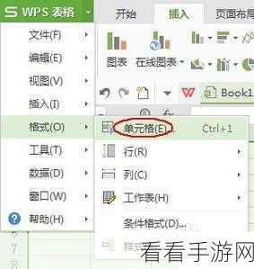 WPS 表格秘籍，同一单元格输入多值轻松搞定