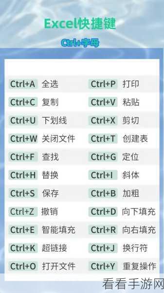 轻松掌握 Excel 表格求和技巧，操作指南大放送