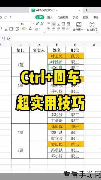 掌握 WPS 表格回车键移动方向的秘诀