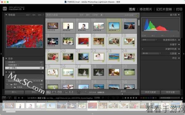 掌握 Lightroom 色标设置，让图片大放异彩